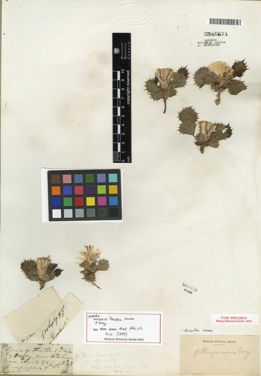 0FD5632A-F6C2-4026-BDD9-D564A4C7E0EE