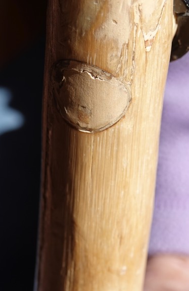 Bob Shipley crutches  3